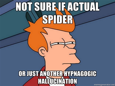 hallucination or hypnagogic hallucination.jpg