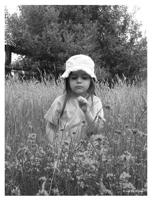 the discovery of a ladybird by my daughter