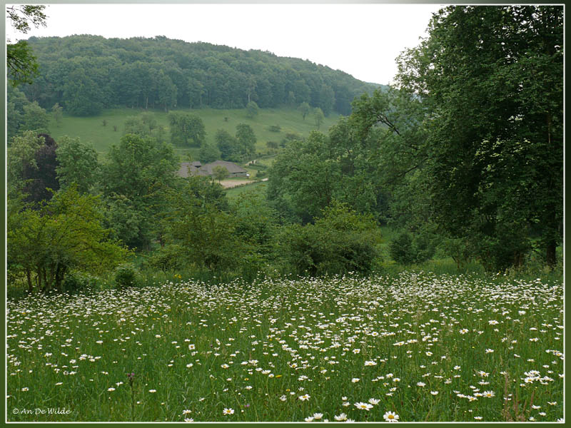 Gerendal