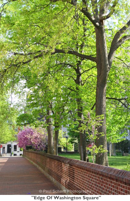 328  Edge Of Washington Square.jpg