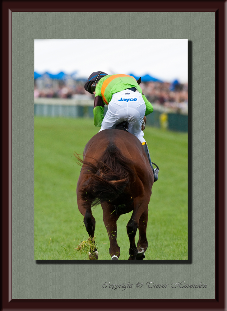 Warrnambool May Racing Carnival 2010