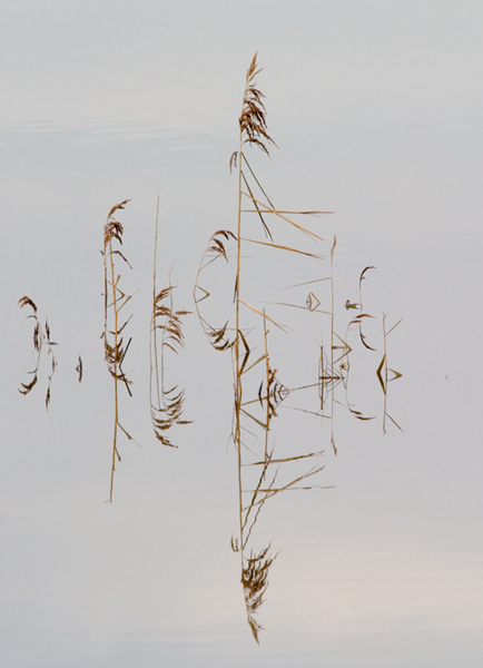 riet ijssel 12-12-2007