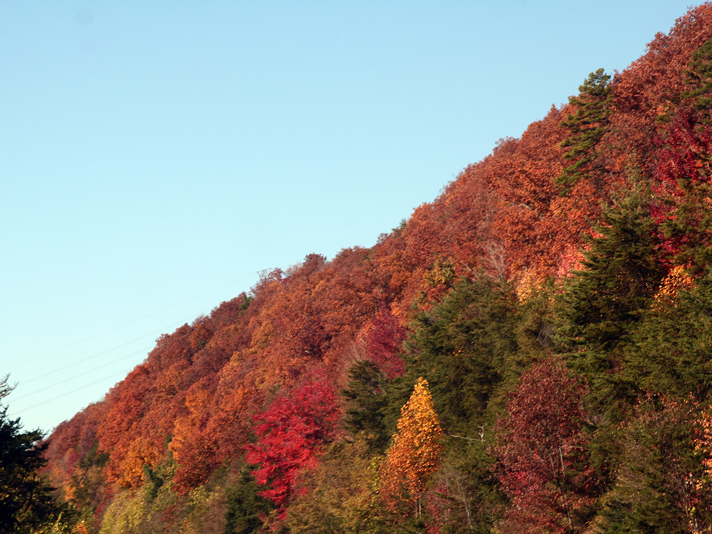 I-40 scenery