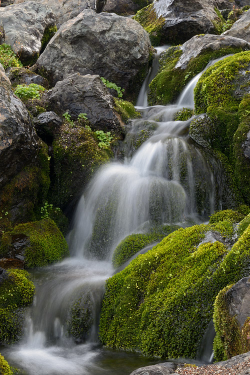 Middle Fork Creek-4