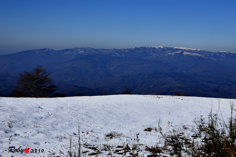 and still snow...