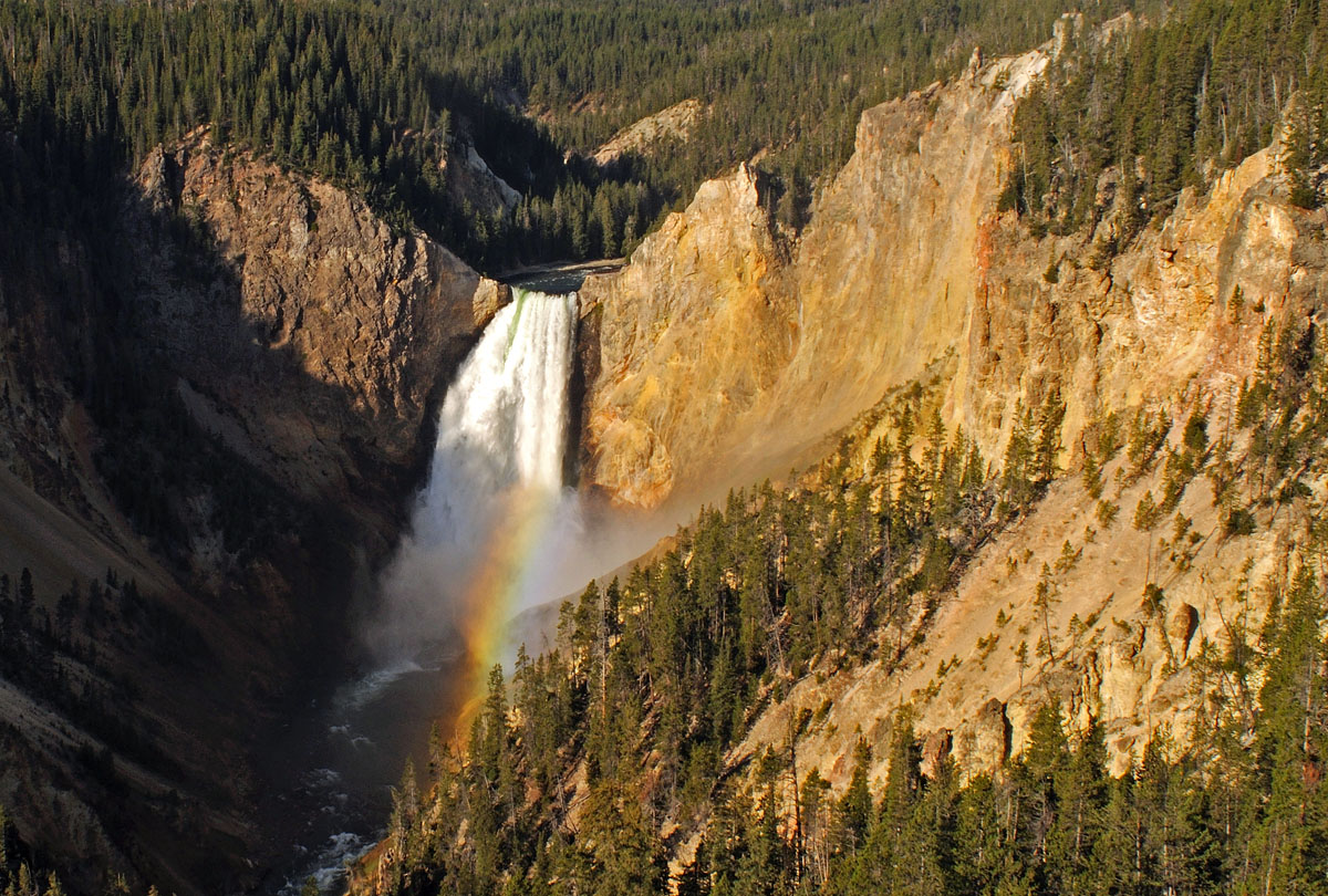 Lower Yellowstone Falls