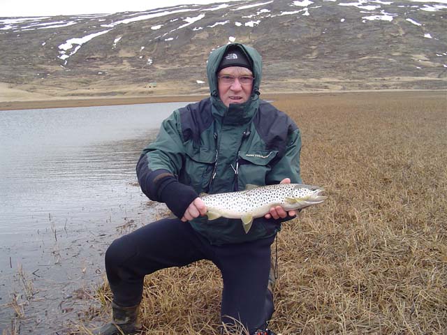  kringum 4 pund