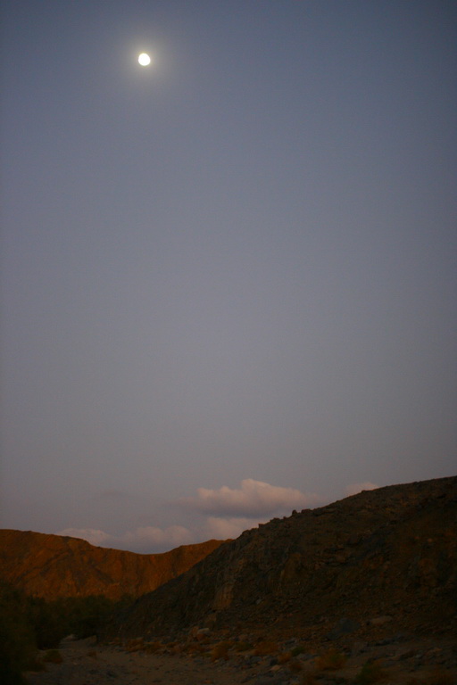 IMG_2780.JPG