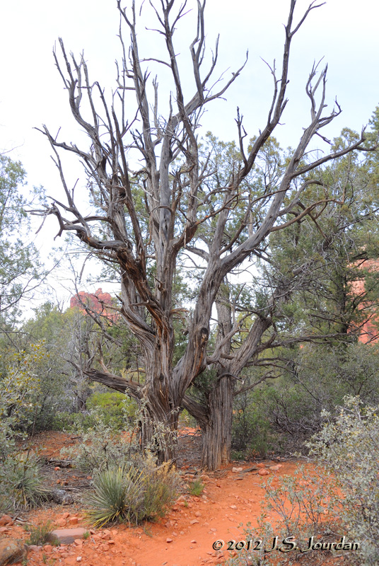AZ_2043b.jpg