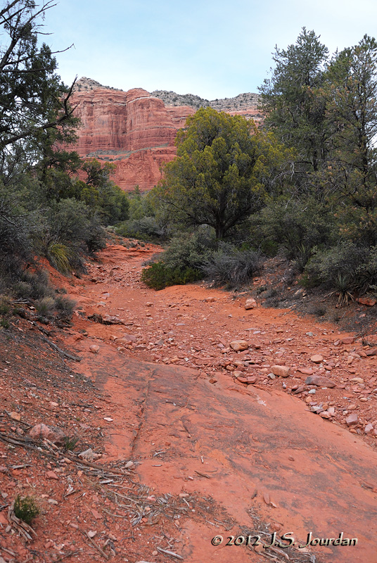AZ_2050b.jpg