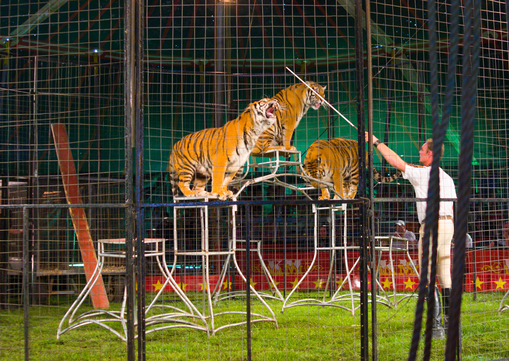 _DSC1983 iso1600 sml.jpg