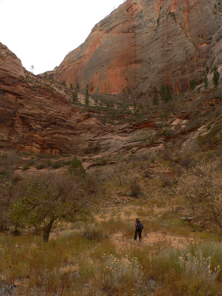 Hidden Canyon Trail