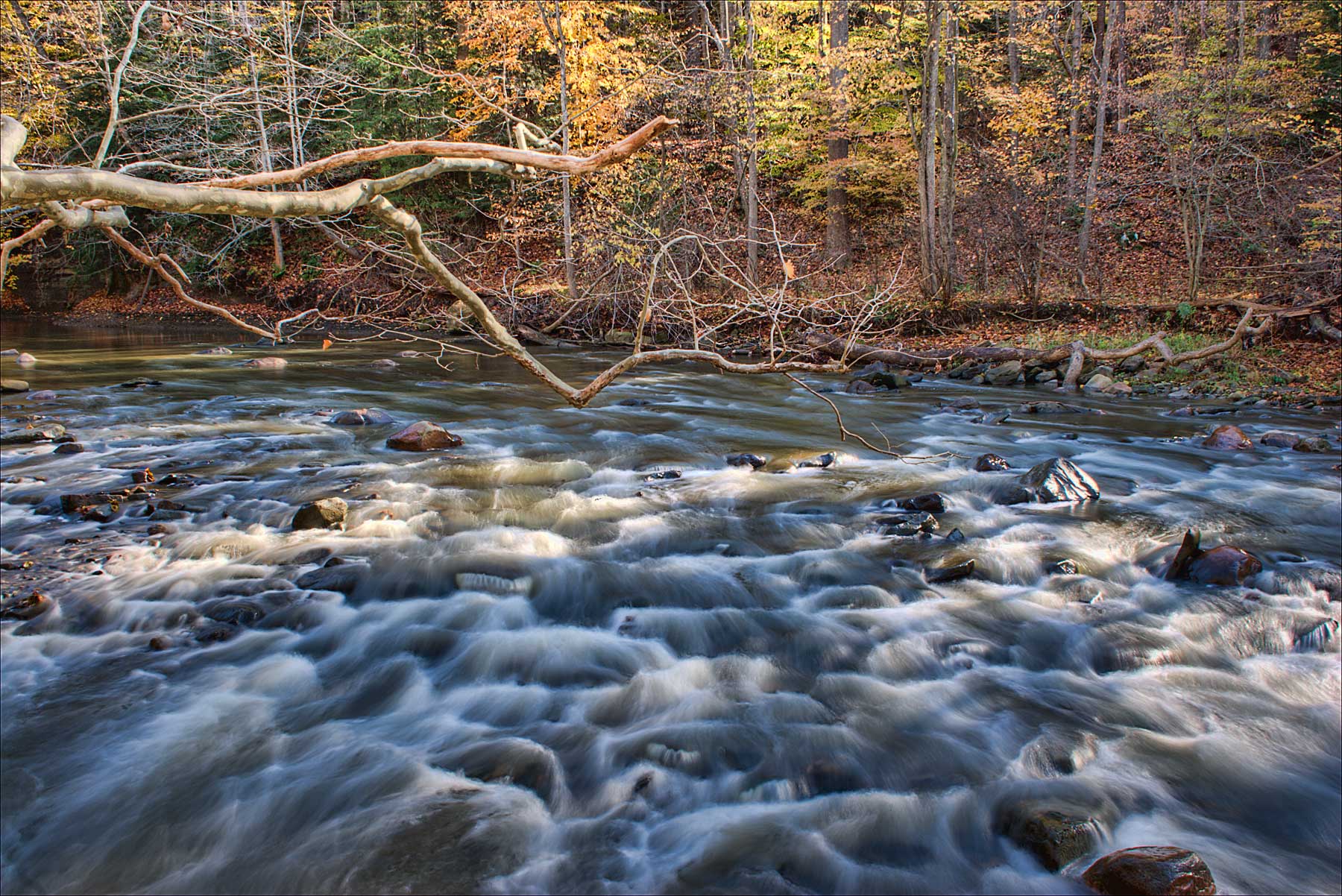 Tinkers Creek *.jpg