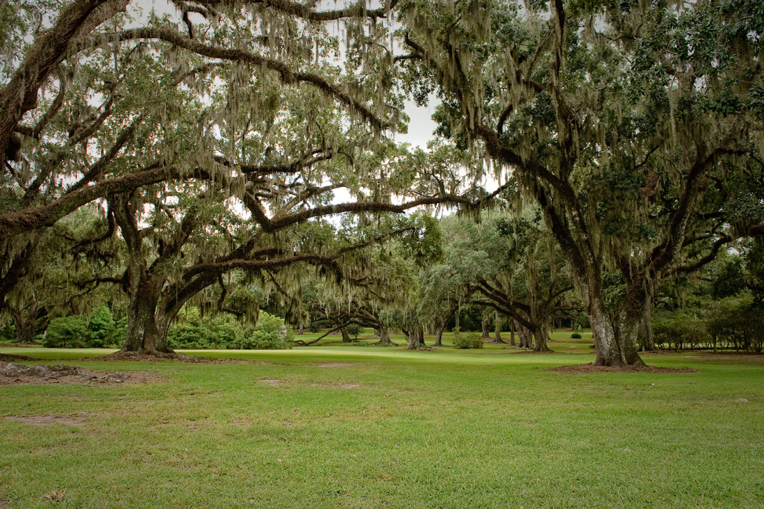 Tabasco081509 290-.jpg