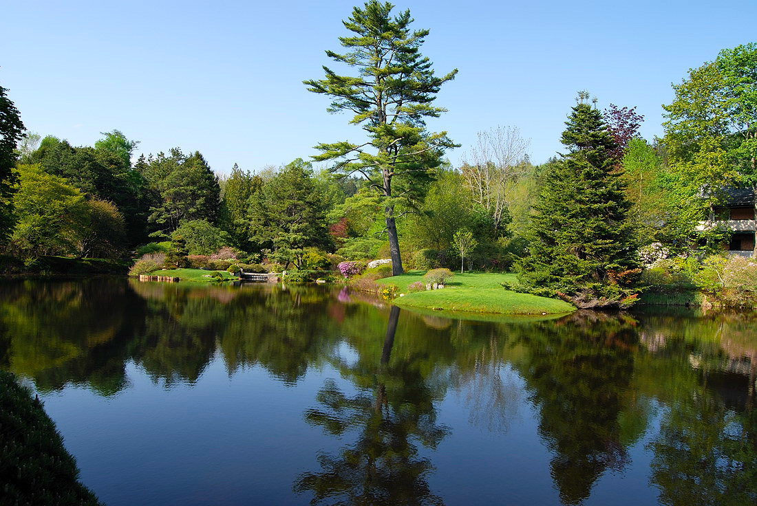 Asticou Garden  Acadia N.P.