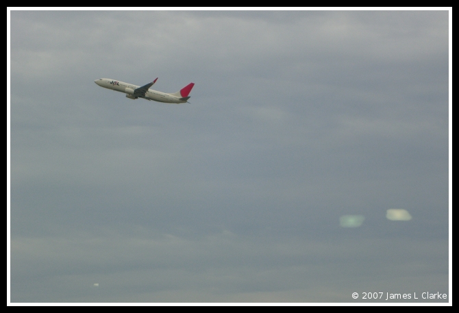Flying JAL