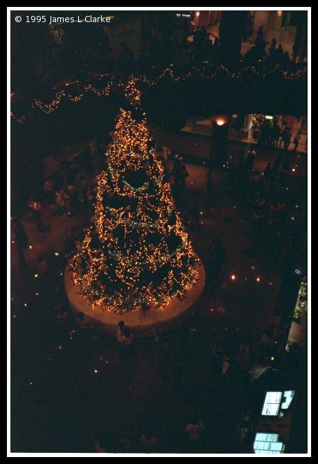 The Big Christmas Tree