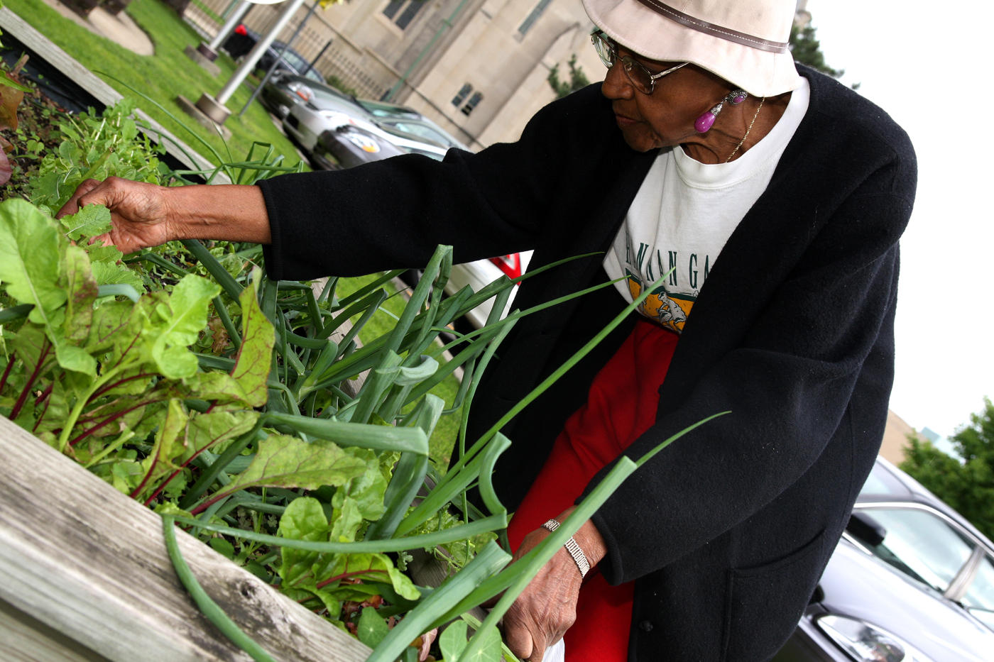 94 year-old Velma pulls weeds