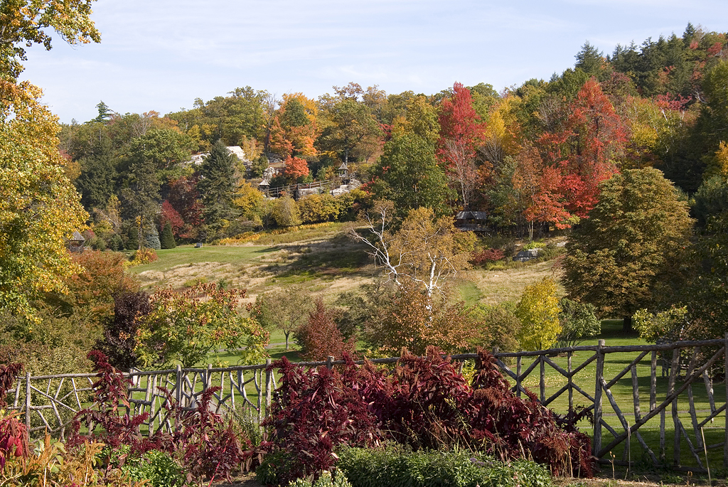 Fall Foliage