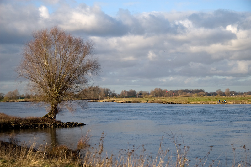 Ossenwaard Deventer
