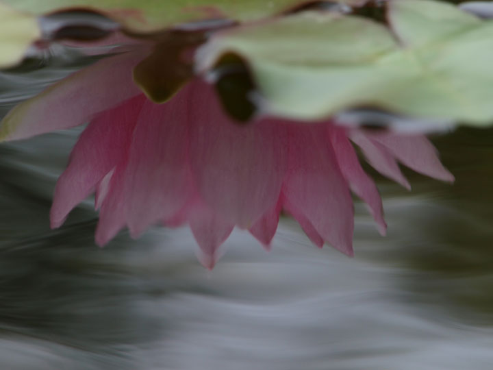 JS160879.JPG
