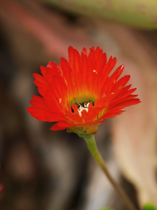 PB160777.jpg
