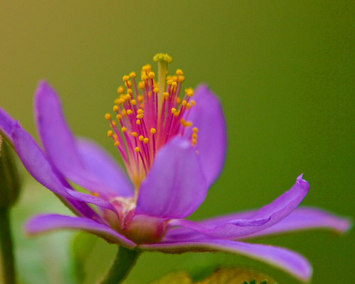 JS063874.JPG