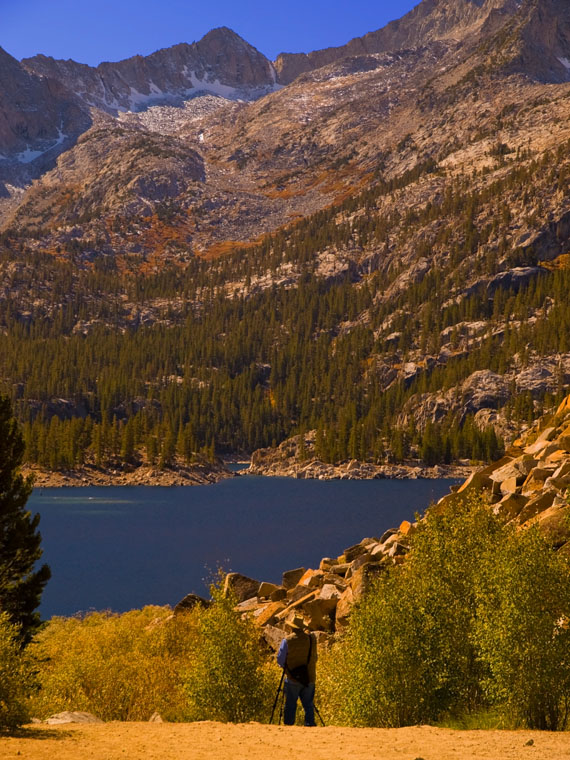 Sierra Fall Color