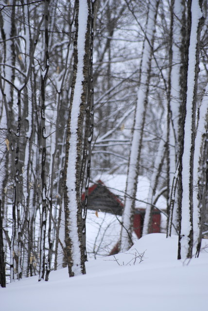 skidoo 18.JPG