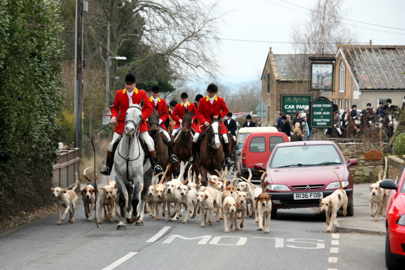 Horse & hounds at Ash