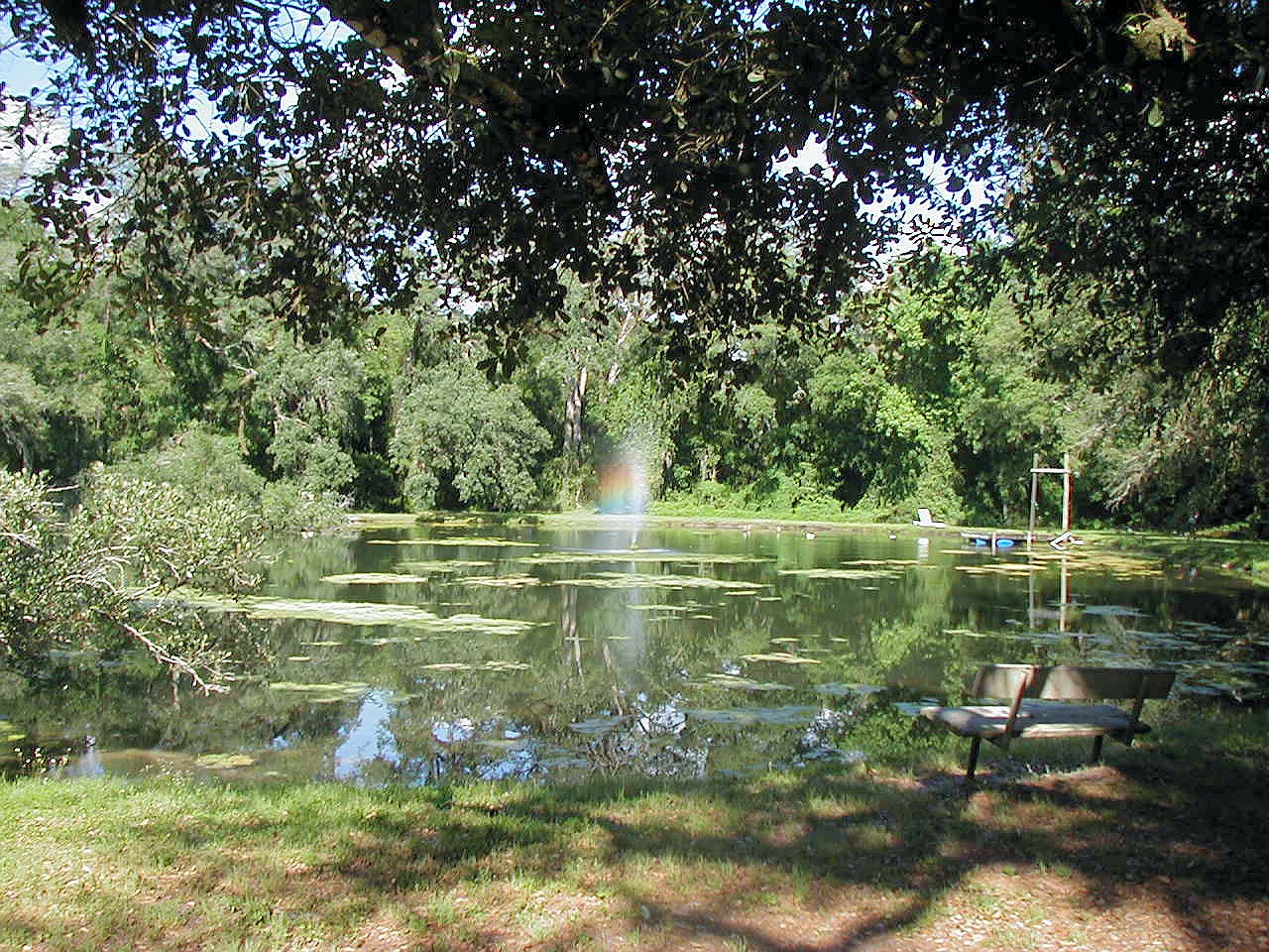 Rainbow in a circle
