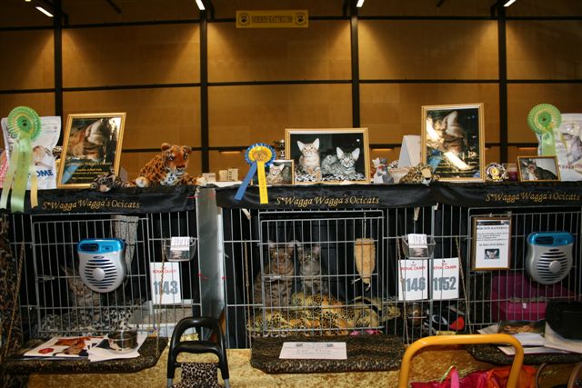 Our show cages