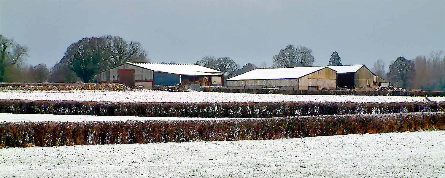 Farm in the snow (3738)