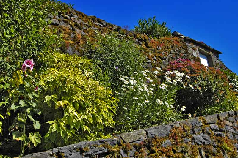 Un mur