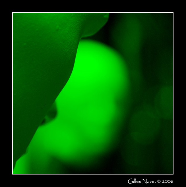 21/11/08 - Un faux vrai
