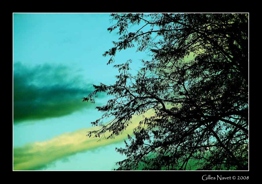 22/11/08 - Moment of peace