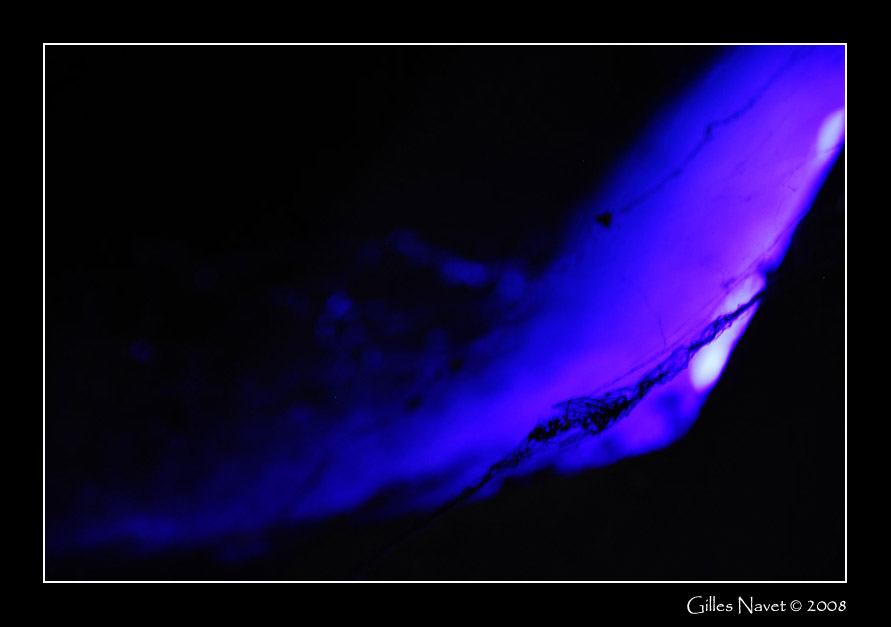 29/11/08 - infiniment bleu