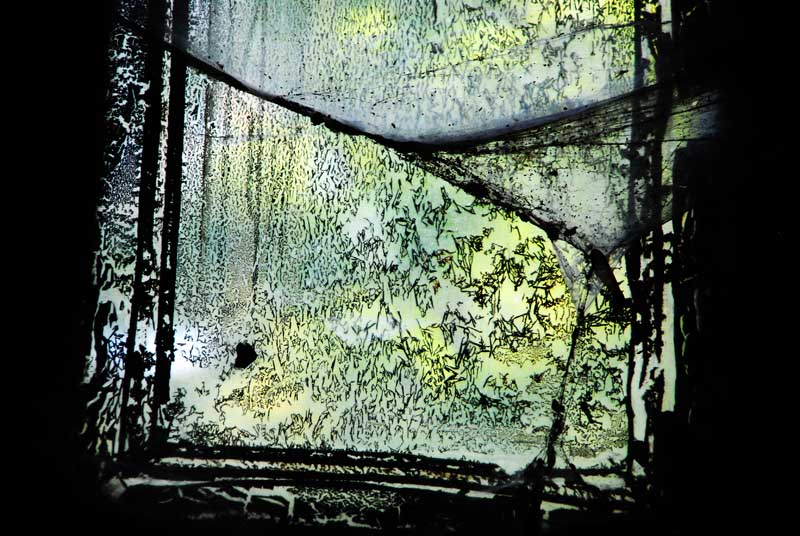 La toile