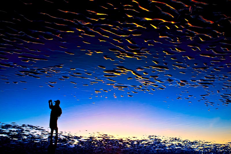 La photographe
