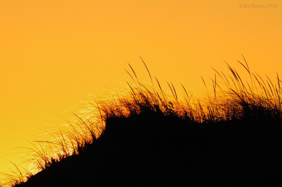 _NW81864 Dunes at Sunset