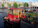 2008-05-18_19-34-15_100_6178_Amstel.jpg