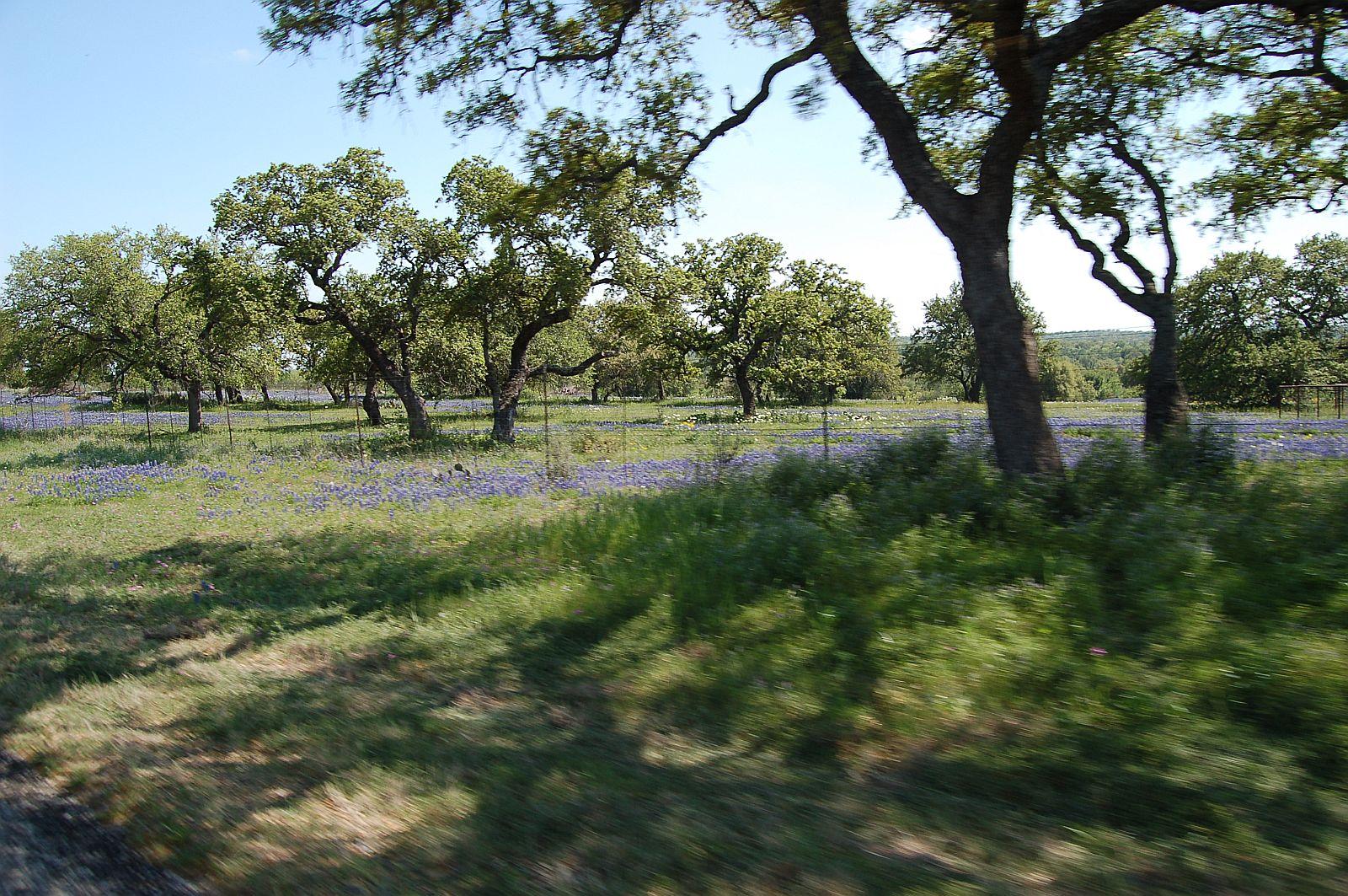 DSC_9580.JPG