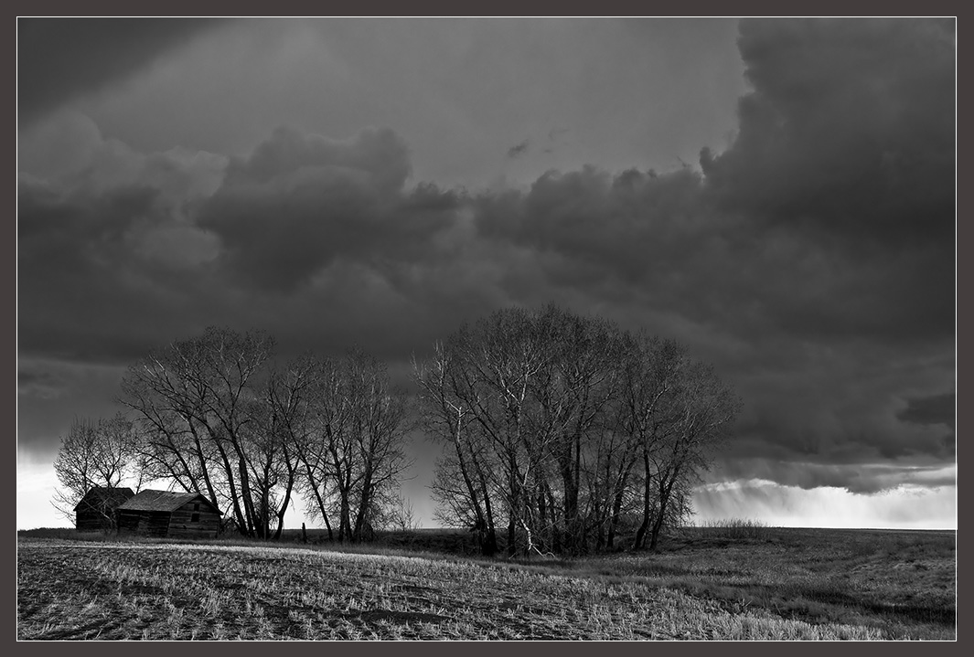 Prairie Storm