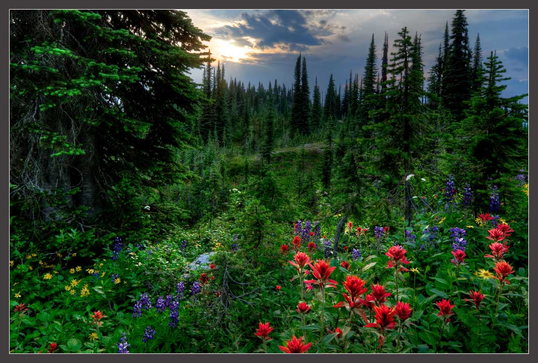 Mother Natures Garden