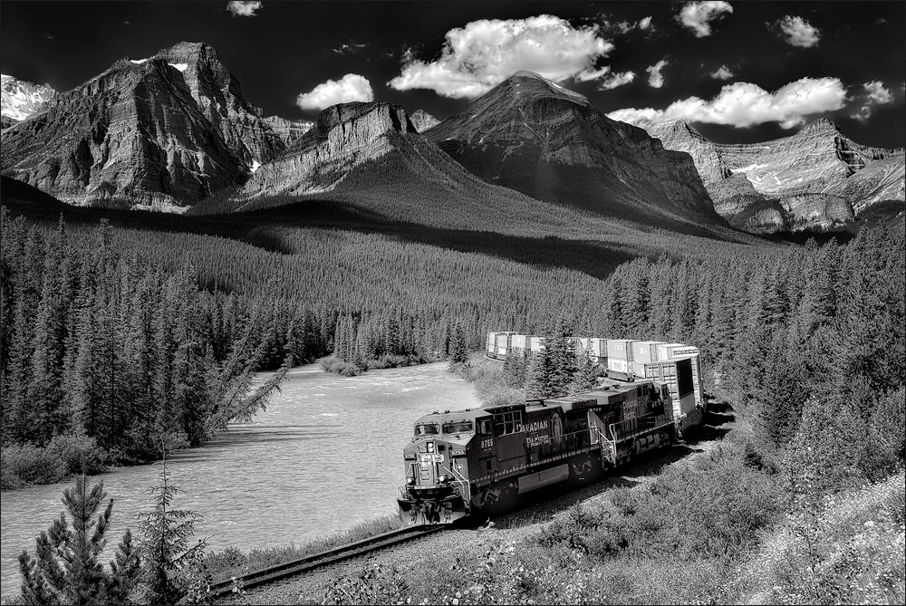 Morants Curve