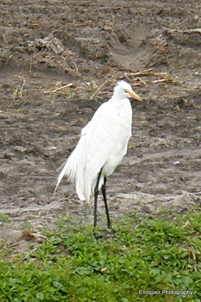 P2030028.JPG