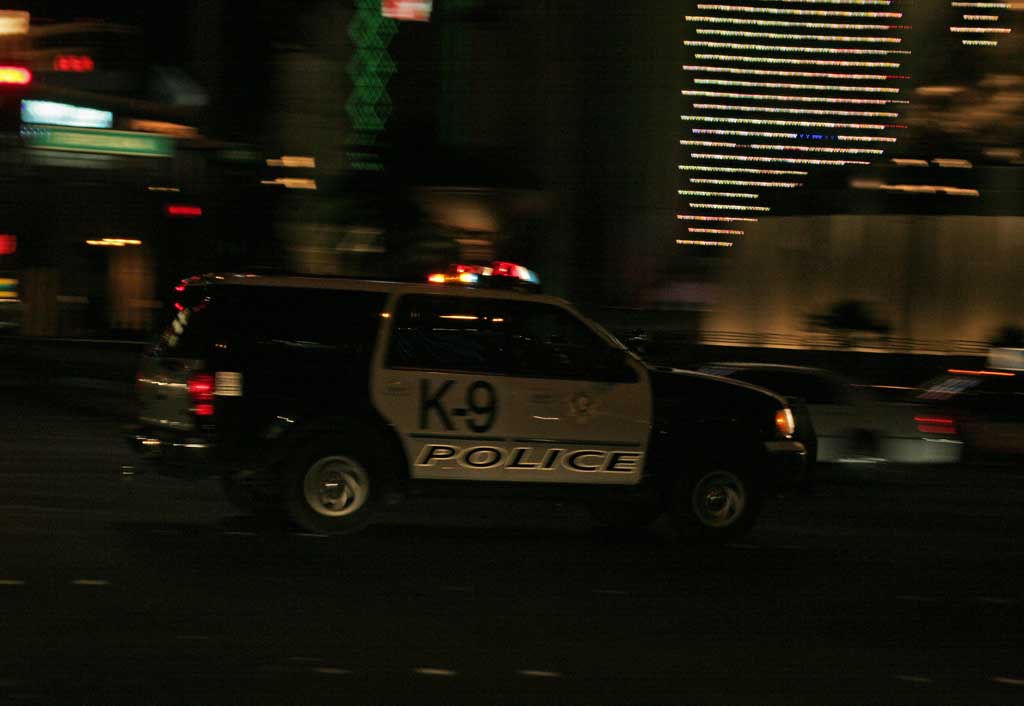 Police K-9 response