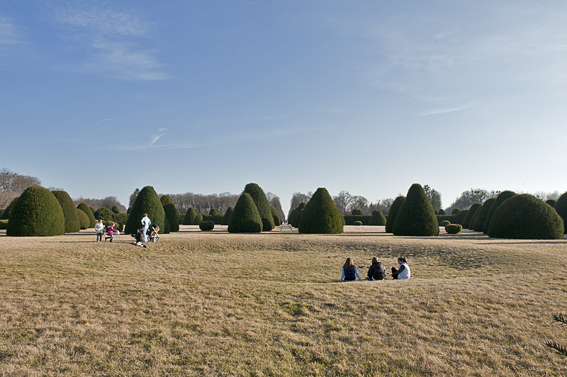 The gardens, as far as the eye can see