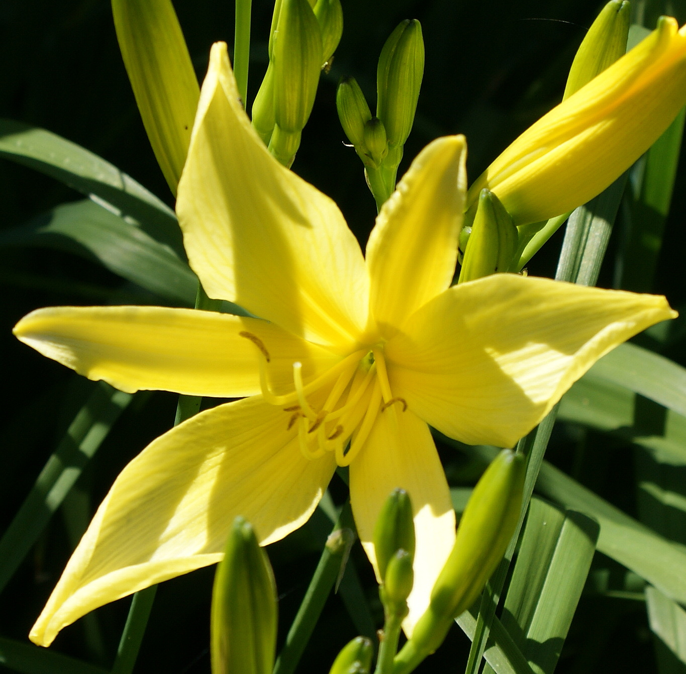 DSC05481.JPG