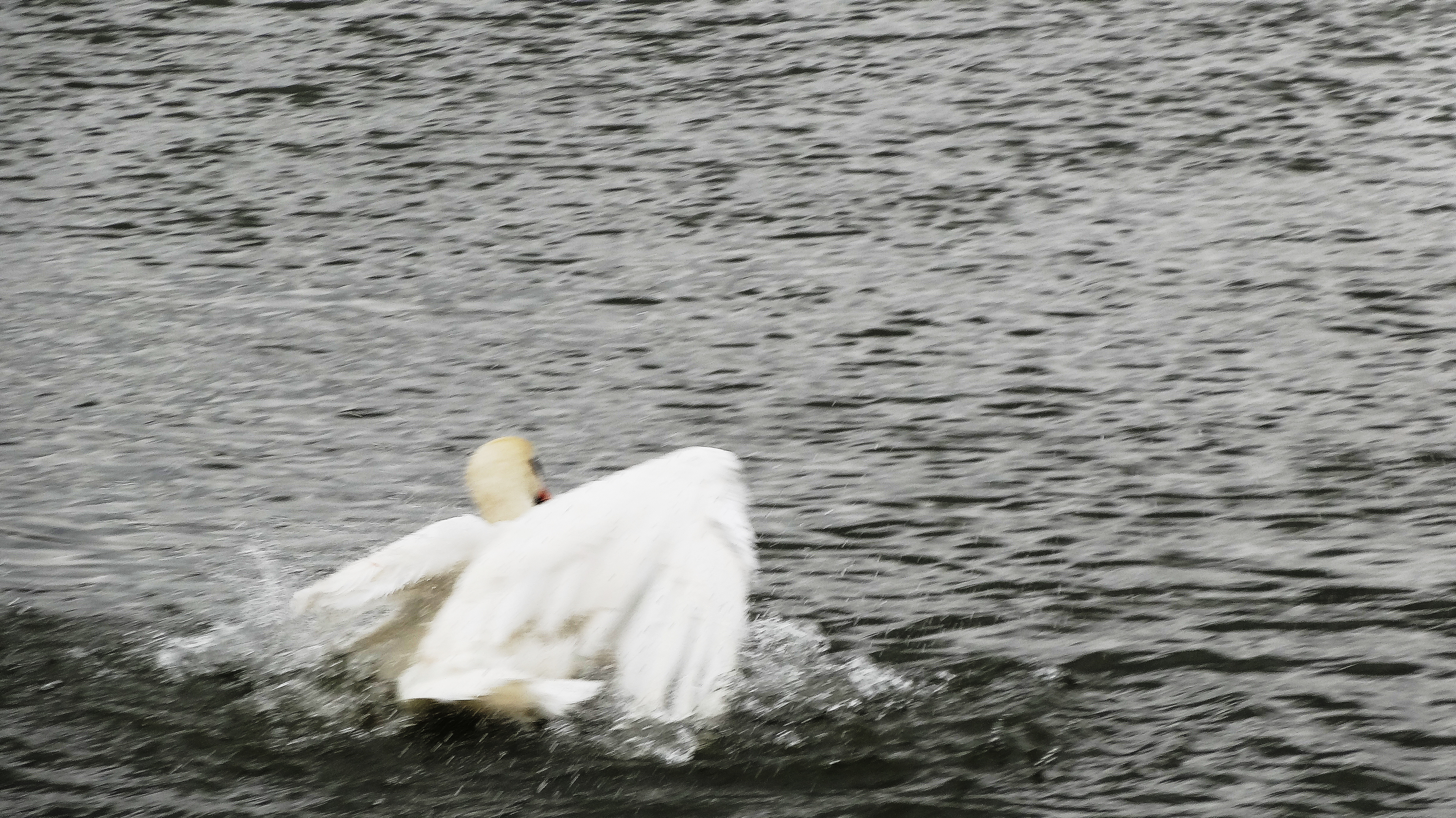 DSC00997.JPG